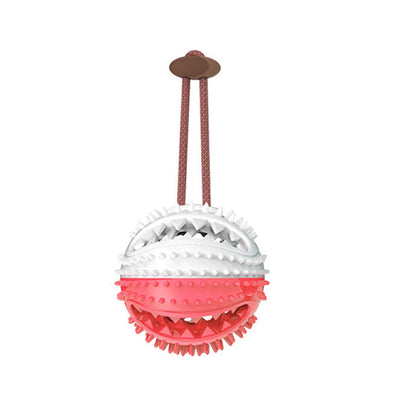 Interactive Suction Cup Tug Dog Toy Seasia