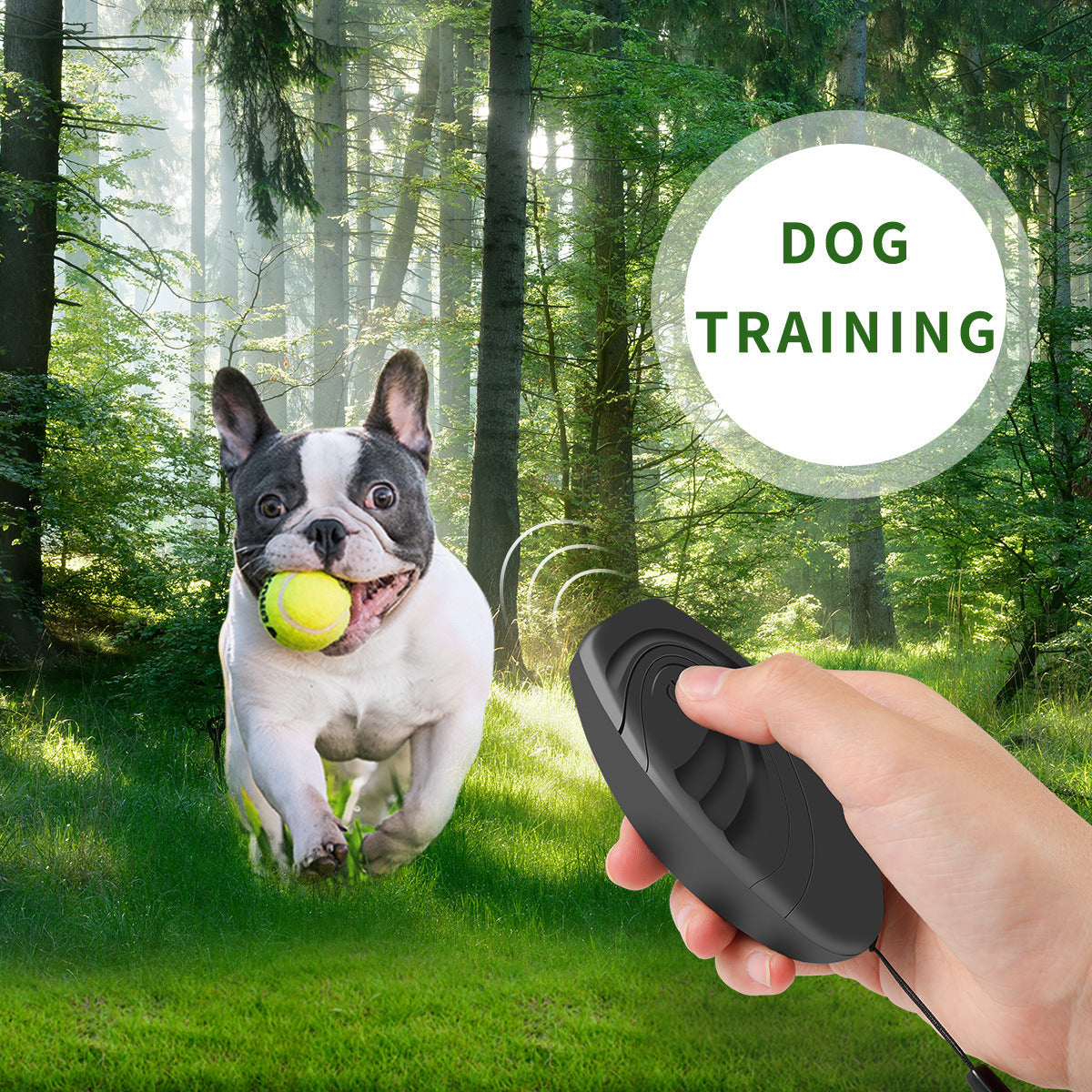 Ultrasonic Dog Repeller Trainer Seasia