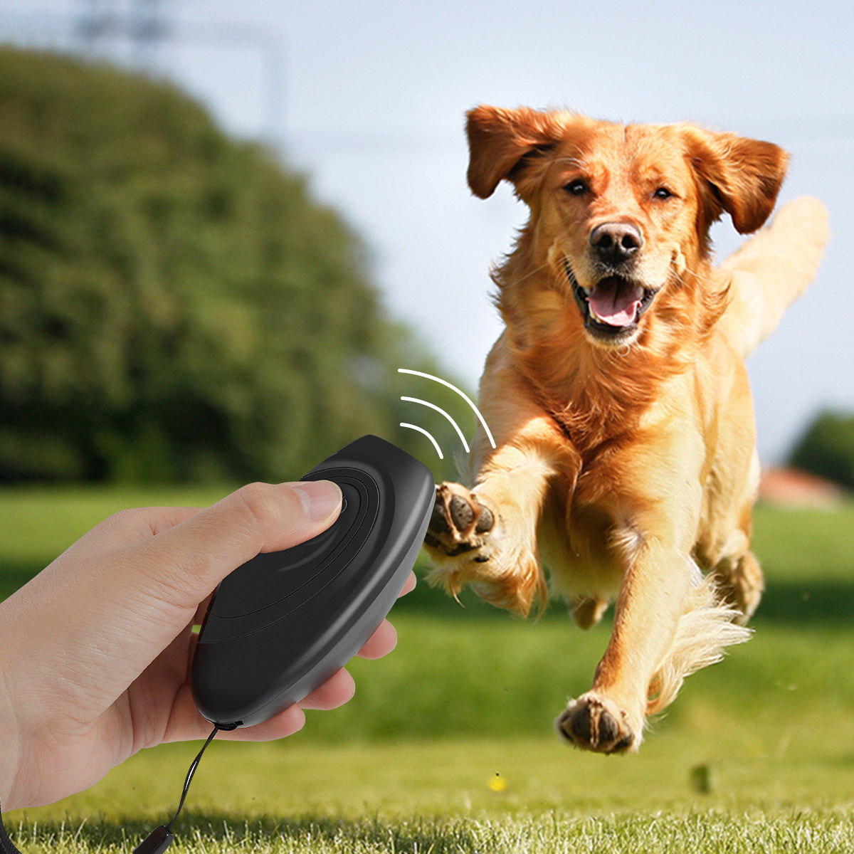 Ultrasonic Dog Repeller Trainer Seasia