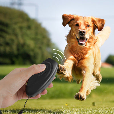 Ultrasonic Dog Repeller Trainer Seasia