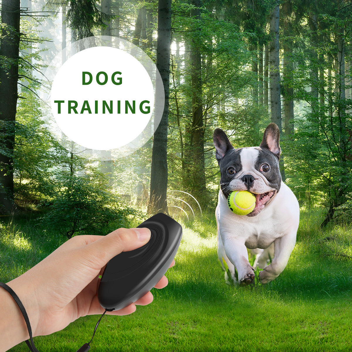 Ultrasonic Dog Repeller Trainer Seasia