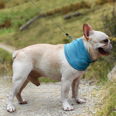 Instant Cooling Dog Bandana Collar Wrap Seasia