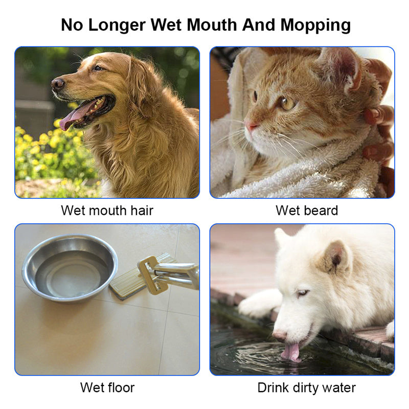 1.5L Anti-Spill Pet Water Bowl - Seasia