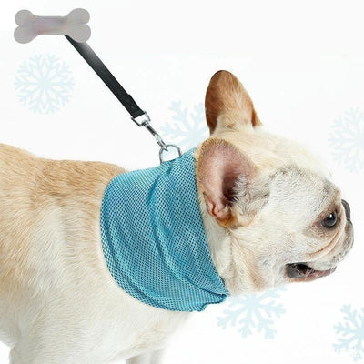 Instant Cooling Dog Bandana Collar Wrap Seasia
