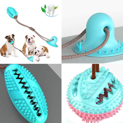 Interactive Suction Cup Tug Dog Toy Seasia